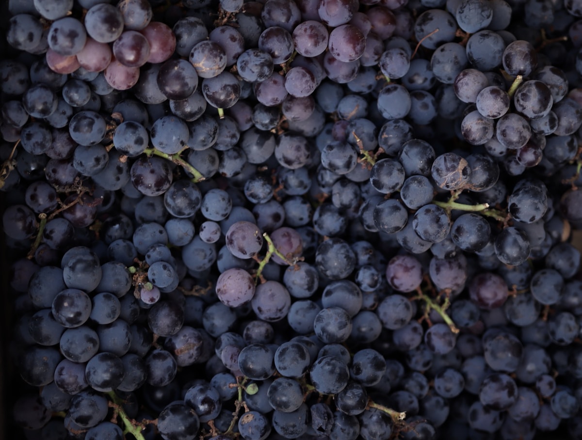 Terra Pure Grapes