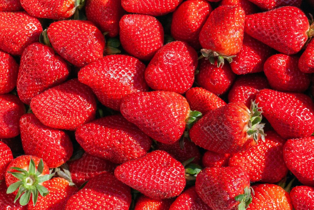 Terra Pure Strawberry