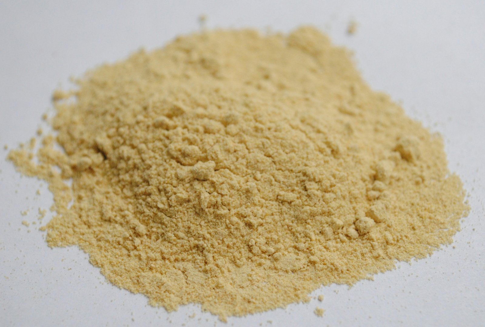 Terra Pure Garlic Powder